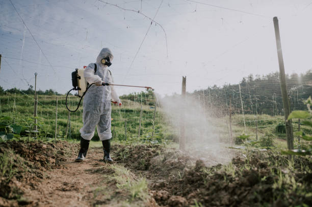 Best Affordable Pest Control Services  in Grafton, WI