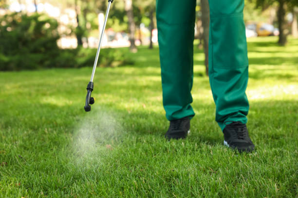 Best Wasp Removal Services  in Grafton, WI