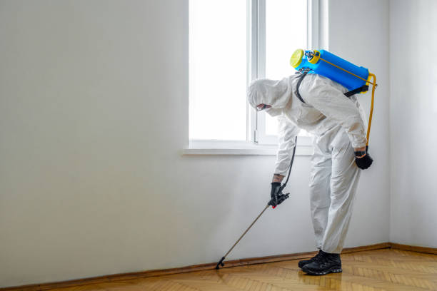 Best Pest Removal Services  in Grafton, WI