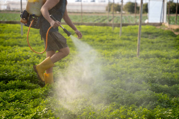 Best Commercial Pest Control Services  in Grafton, WI
