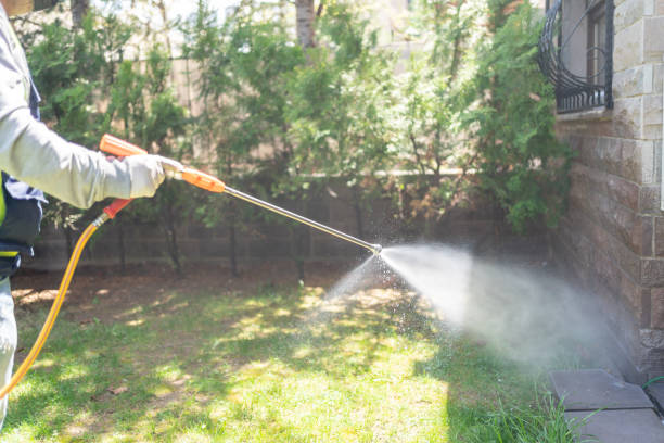 Best Local Pest Control Services  in Grafton, WI
