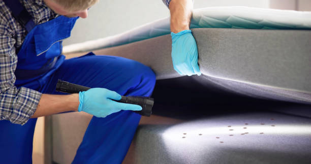 Best Termite Control Services  in Grafton, WI