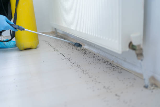 Best Best Pest Control Companies  in Grafton, WI