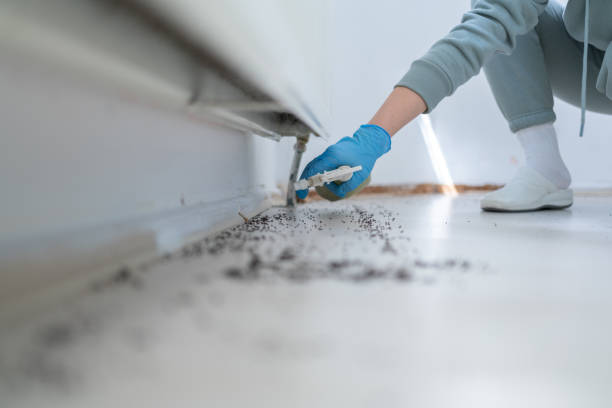 Best Emergency Pest Control  in Grafton, WI