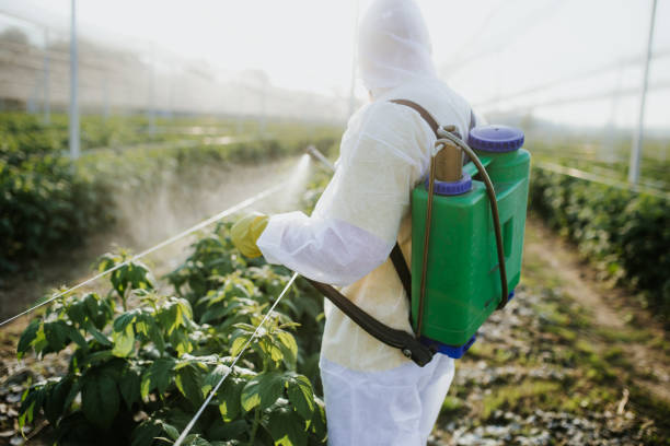 Best Exterminator Services  in Grafton, WI